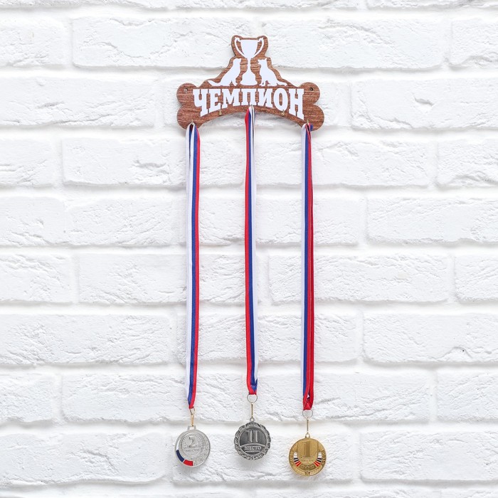 Медальница «Чемпион» с крючками, 20 х 12,9 см
Медальница «Чемпион» с крючками, 20 х 12,9 см