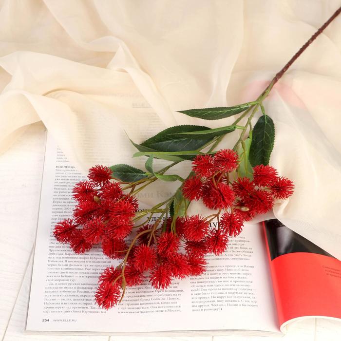 Цветы искусственные "Рицина" 2,5х73 см бордовый
Цветы искусственные "Рицина" 2,5х73 см бордовый