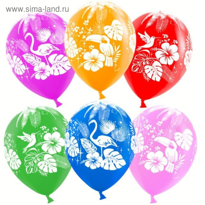 Шар латексный 12" «Тропические птицы», лайт, пастель, 5-сторонний, набор 100 шт., МИКС
Шар латексный 12" «Тропические птицы», лайт, пастель, 5-сторонний, набор 100 шт., МИКС