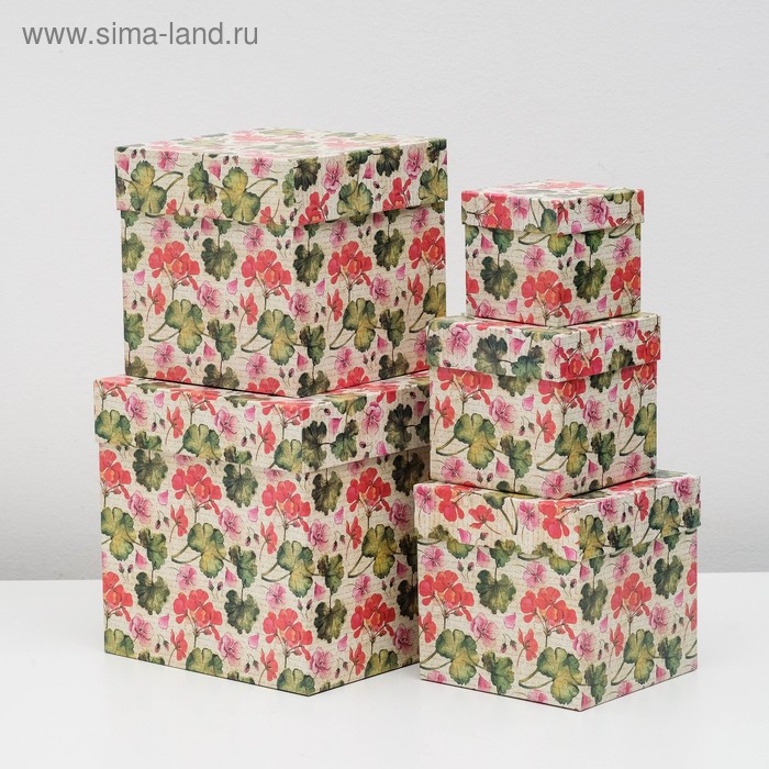 Набор коробок 5 в 1 "Герань", 22,5 х 22,5 х 22,5 - 9,5 х 9,5 х 9,5 см
Набор коробок 5 в 1 "Герань", 22,5 х 22,5 х 22,5 - 9,5 х 9,5 х 9,5 см