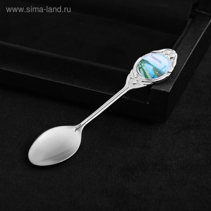 фото Ложка сувенирная «тюмень»
