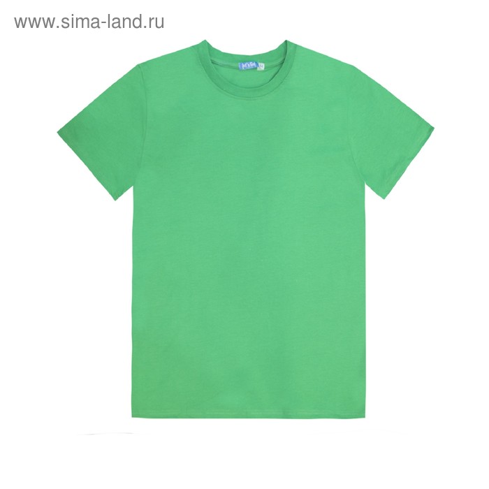 Футболка мужская, размер 44, цвет зелёный
Футболка мужская, размер 44, цвет зелёный
