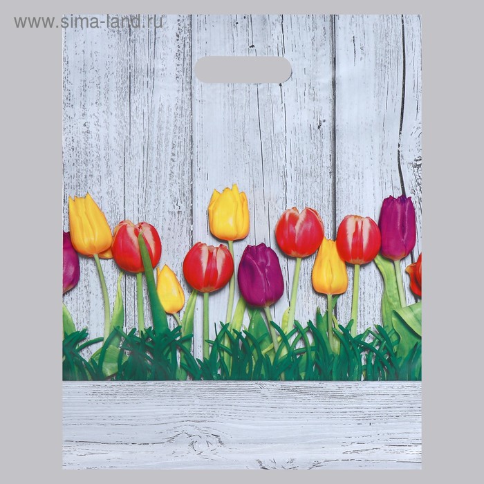 Пакет полиэтиленовый с вырубной усиленной ручкой 31х40 см, 60 мкм 177
Пакет полиэтиленовый с вырубной усиленной ручкой 31х40 см, 60 мкм 177