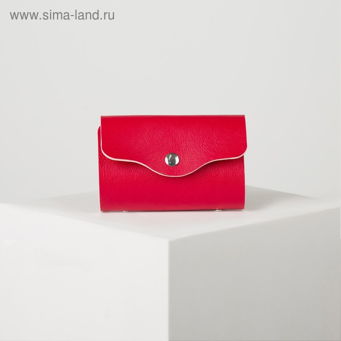 Визитница, 12 листов, цвет красный
Визитница, 12 листов, цвет красный