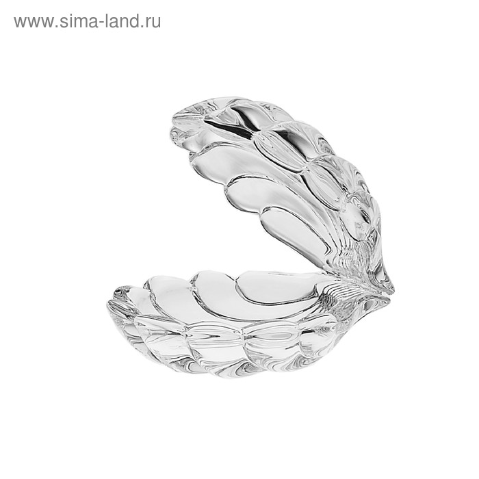 Доза «Ракушка», 9 см
Доза «Ракушка», 9 см