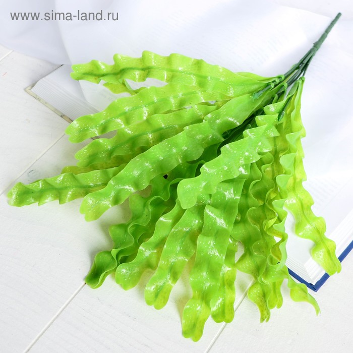 Букет "Водоросли" 33 см
Букет "Водоросли" 33 см