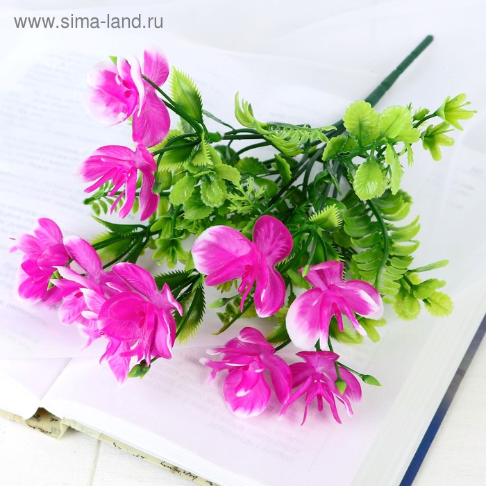 Букет "Цветы с папоротниковыми веточками" 27 см микс
Букет "Цветы с папоротниковыми веточками" 27 см микс