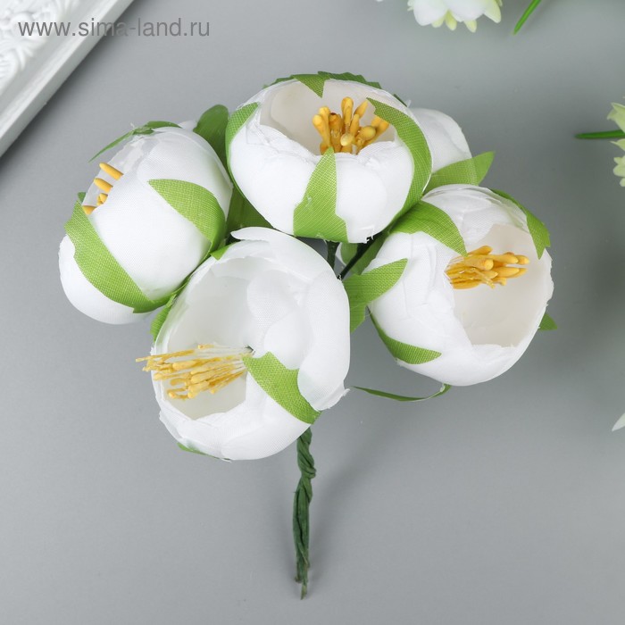 Декор для творчества "Королевский пион. Белый" (1 набор=1 букет) в букете 6 шт 12х4 см
Декор для творчества "Королевский пион. Белый" (1 набор=1 букет) в букете 6 шт 12х4 см