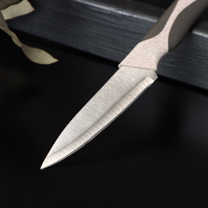 фото Нож кухонный доляна «мезури», лезвие 9,5 см, цвет микс