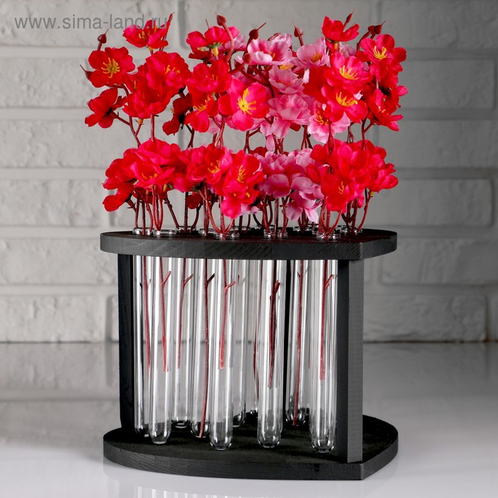 Кашпо деревянное 22.5×20.5×24 см с 15 колбами "Сердце", чёрный
Кашпо деревянное 22.5×20.5×24 см с 15 колбами "Сердце", чёрный