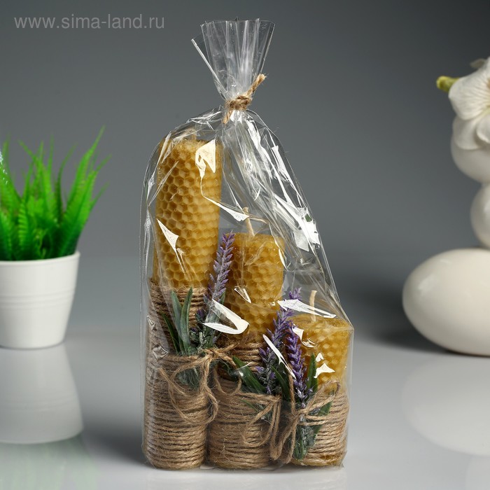 Набор свечей из вощины "Классика" медовые, с лавандой, 3 шт
Набор свечей из вощины "Классика" медовые, с лавандой, 3 шт