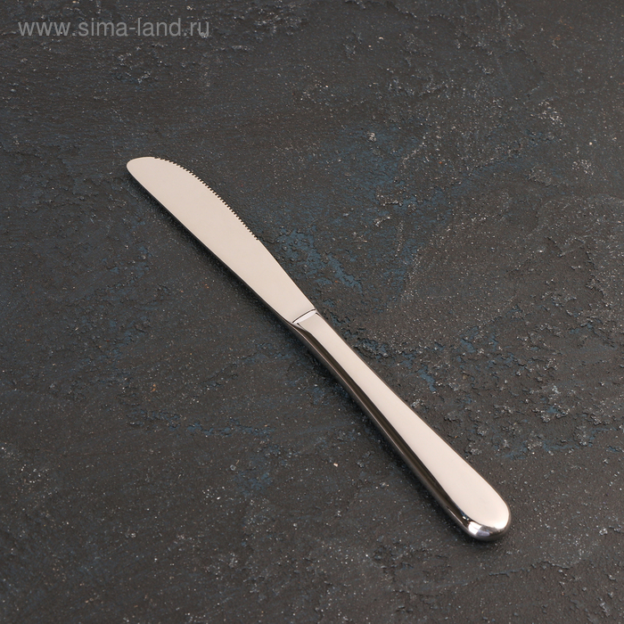 Нож десертный из нержавеющей стали Wilmax Stella, h=20,5 см, цвет серебряный
Нож десертный из нержавеющей стали Wilmax Stella, h=20,5 см, цвет серебряный