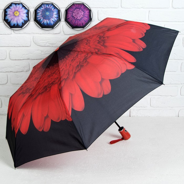 Зонт полуавтоматический «Цветы», 3 сложения, 8 спиц, R = 48 см, цвет МИКС
Зонт полуавтоматический «Цветы», 3 сложения, 8 спиц, R = 48 см, цвет МИКС