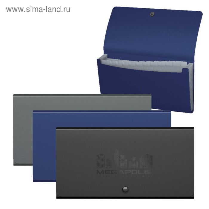 Папка-картотека на кнопке Travel, ErichKrause Megapolis, 700 мкм, 12 отделов, микс
Папка-картотека на кнопке Travel, ErichKrause Megapolis, 700 мкм, 12 отделов, микс