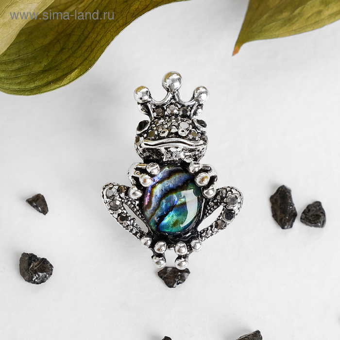 Брошь "Галиотис" царевна лягушка
Брошь "Галиотис" царевна лягушка