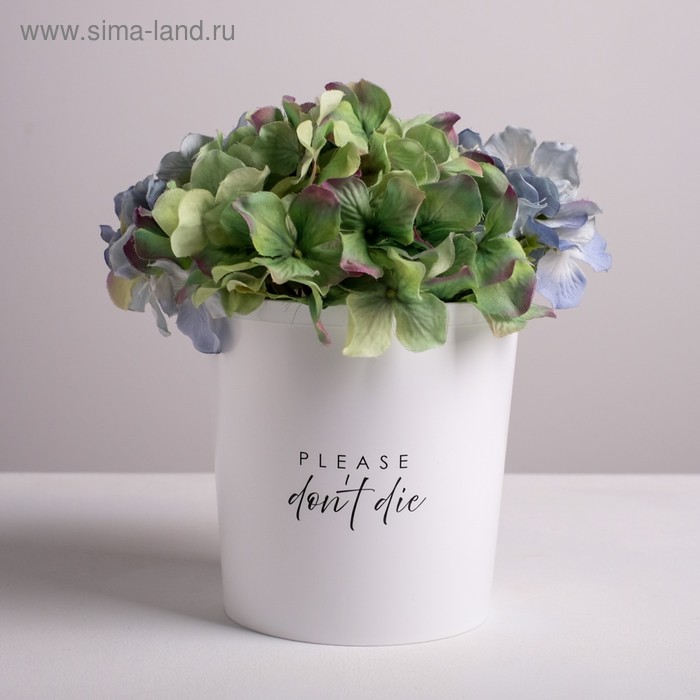 Кашпо «Please do not die», 1,6 л, 14 х 14 см
Кашпо «Please do not die», 1,6 л, 14 х 14 см