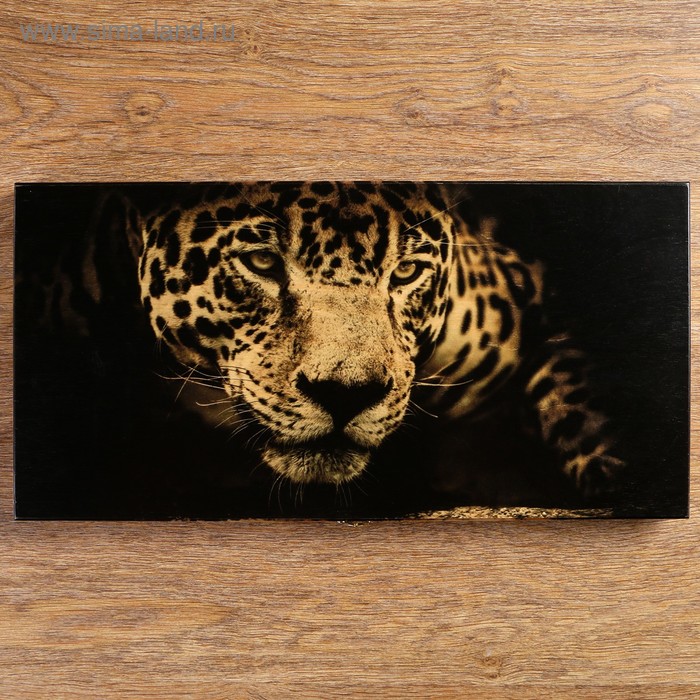 Нарды "Леопард", 48 х 24 х 4 см, (фишка d=2.5 см)
Нарды "Леопард", 48 х 24 х 4 см, (фишка d=2.5 см)