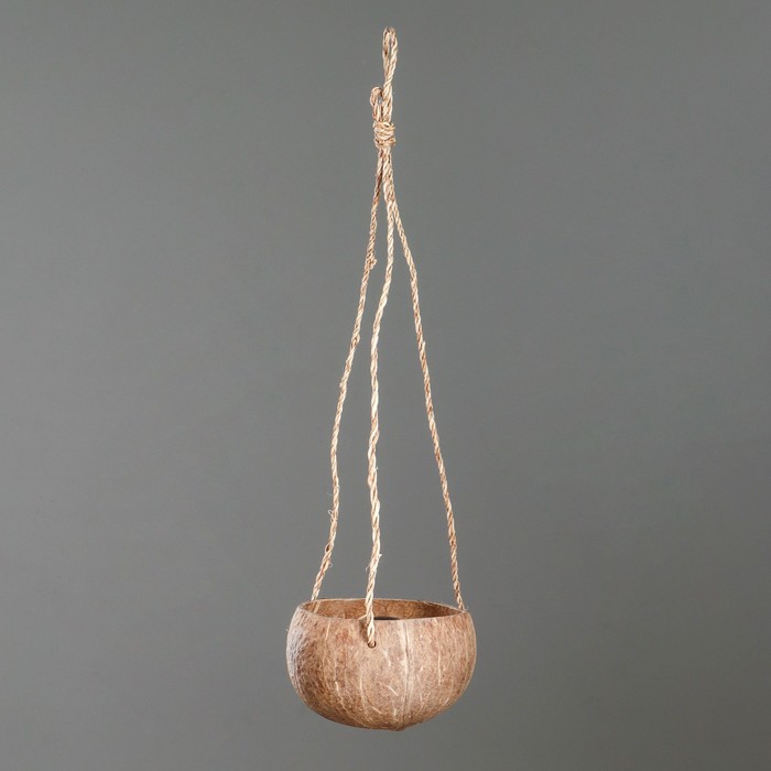 Кашпо «Кокос», на веревке, D12H7см. , кокос, дерево 01-078
Кашпо «Кокос», на веревке, D12H7см. , кокос, дерево 01-078