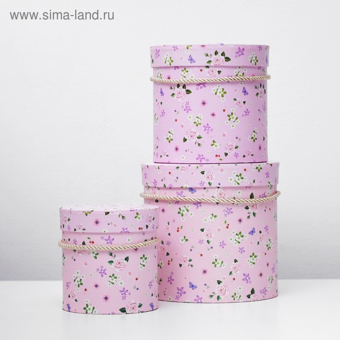 Набор коробок 3 в 1 "Незабудки", розы, 18 х 17,2 х - 12 х 12,2 см
Набор коробок 3 в 1 "Незабудки", розы, 18 х 17,2 х - 12 х 12,2 см