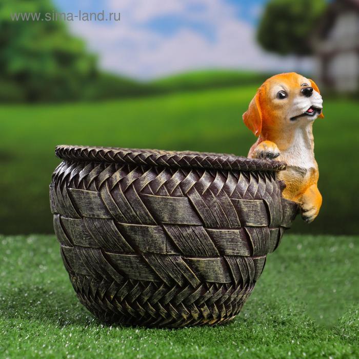 Фигурное кашпо "Щенок на корзине" 17х19см
Фигурное кашпо "Щенок на корзине" 17х19см