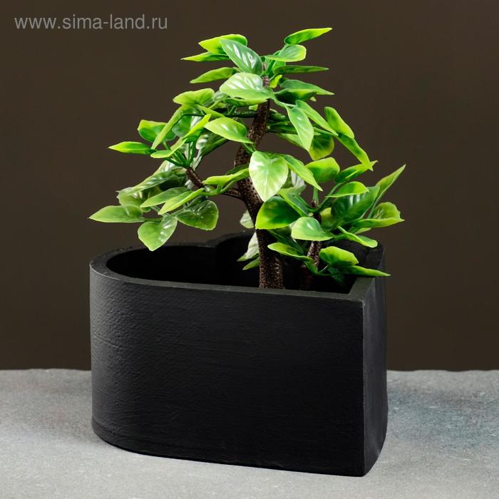 Кашпо бетонное "Сердечко" чёрное 15 х 15 х 8 см
Кашпо бетонное "Сердечко" чёрное 15 х 15 х 8 см