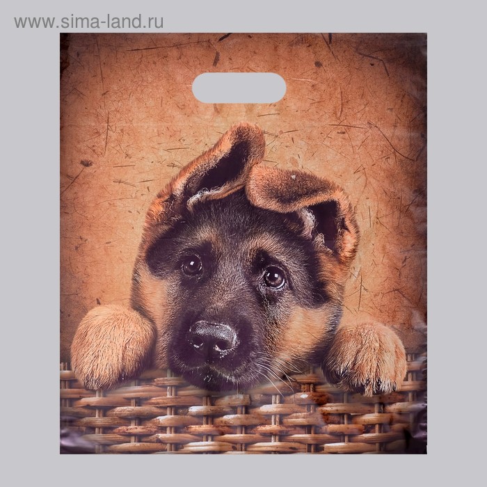 Пакет "Рекс", полиэтиленовый с вырубной ручкой, 40 х 47 см, 45 мкм 
Пакет "Рекс", полиэтиленовый с вырубной ручкой, 40 х 47 см, 45 мкм