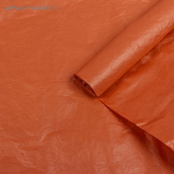 Бумага упаковочная перламутровая "Эколюкс", оранжевый, 0,7 x 5 м
Бумага упаковочная перламутровая "Эколюкс", оранжевый, 0,7 x 5 м