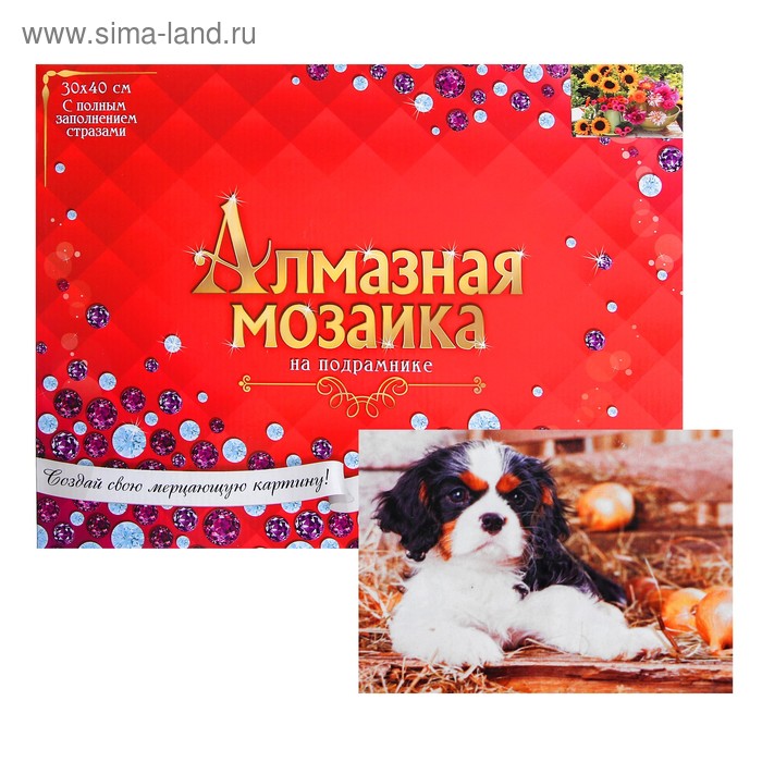 Алмазная мозаика с полным заполнением, 30 × 40 см «Щеночек»
Алмазная мозаика с полным заполнением, 30 × 40 см «Щеночек»