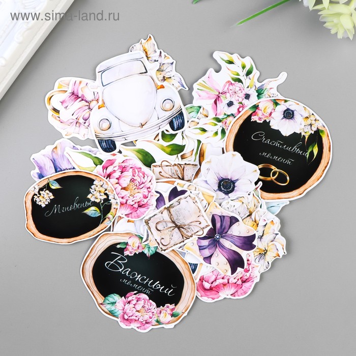 Набор высечек для скрапбукинга "Наша история" 45 элементов
Набор высечек для скрапбукинга "Наша история" 45 элементов