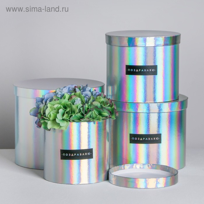 Набор шляпных коробок для цветов 4 в 1 с голографией «Поздравляю!», 14 × 13 см - 20 × 17,5 см
Набор шляпных коробок для цветов 4 в 1 с голографией «Поздравляю!», 14 × 13 см - 20 × 17,5 см