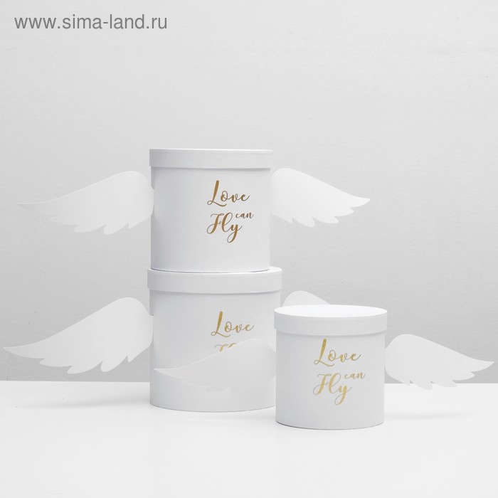 Набор коробок 3 в 1 "Крылья", белый, 21,5 х 21,5 - 16,5 х 16,5 см
Набор коробок 3 в 1 "Крылья", белый, 21,5 х 21,5 - 16,5 х 16,5 см