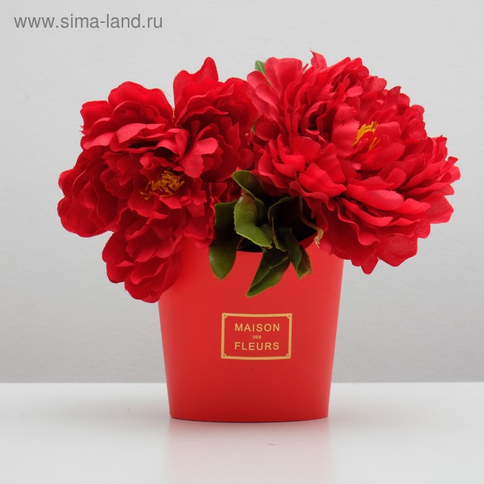 Переноска для цветов, красная, 15,5 х 12 х 19 см
Переноска для цветов, красная, 15,5 х 12 х 19 см