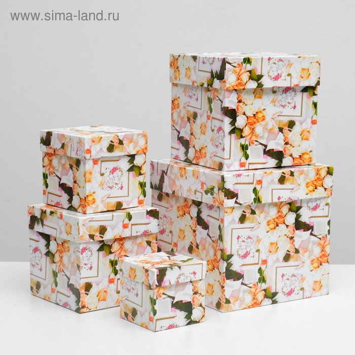 Набор коробок 5 в 1 "Свадьба 4", 22,5 х 22,5 х 22,5 - 9,5 х 9,5 х 9,5 см
Набор коробок 5 в 1 "Свадьба 4", 22,5 х 22,5 х 22,5 - 9,5 х 9,5 х 9,5 см