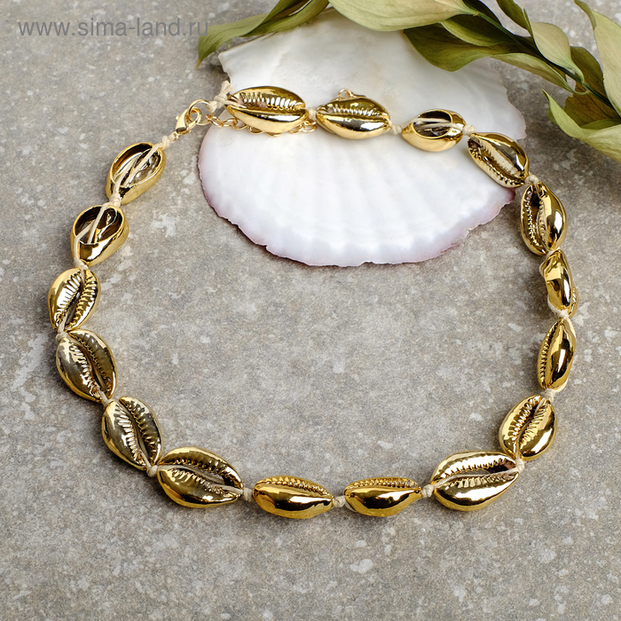 Колье "Море" ракушка на шнурке, цвет золото ,45см
Колье "Море" ракушка на шнурке, цвет золото ,45см