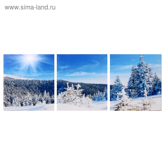 Модульная картина "Снежный склон" (3-35х35) 35х105 см
Модульная картина "Снежный склон" (3-35х35) 35х105 см