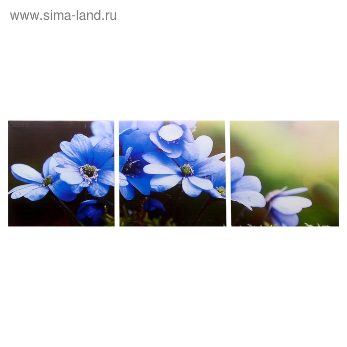 Модульная картина "Цветы рассвета" (3-35х35) 35х105 см
Модульная картина "Цветы рассвета" (3-35х35) 35х105 см