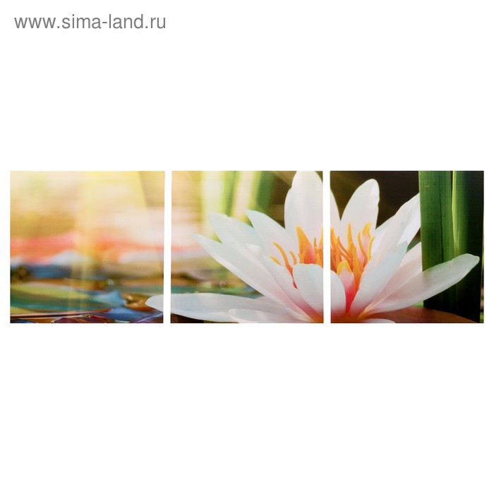 Модульная картина "Цветущий лотос" (3-35х35) 35х105 см
Модульная картина "Цветущий лотос" (3-35х35) 35х105 см