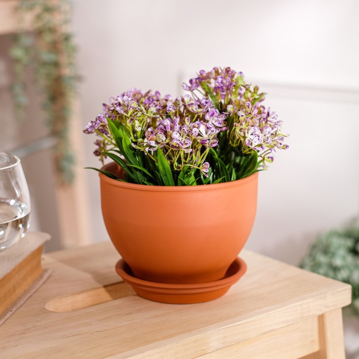 Горшок для цветов "Жасмин", красная глина, 0.7 л
Горшок для цветов "Жасмин", красная глина, 0.7 л