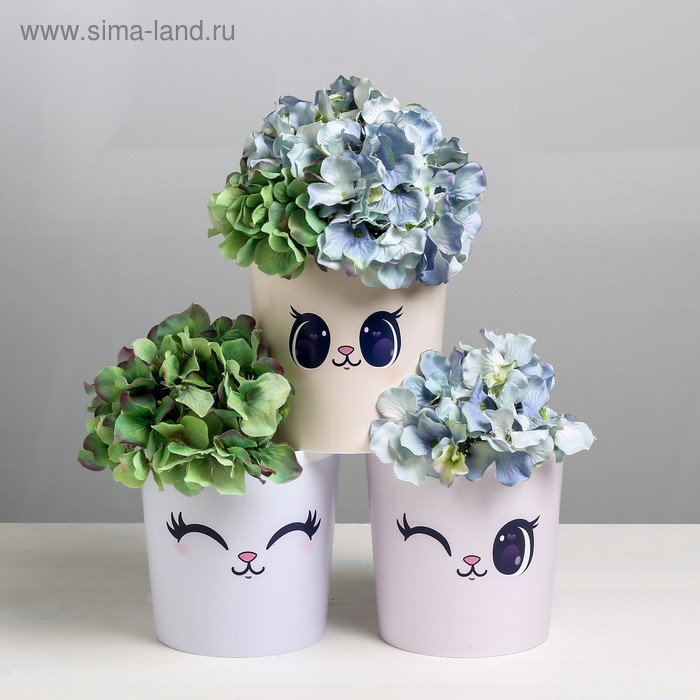 Набор кашпо 3 в 1 «Глазки», 1,6 л, 14 х 14 см 
Набор кашпо 3 в 1 «Глазки», 1,6 л, 14 х 14 см