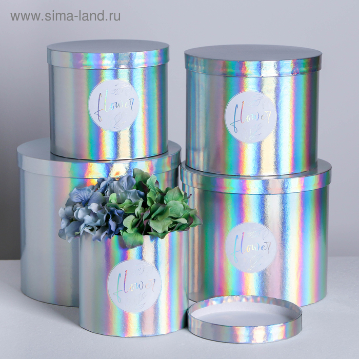 Набор шляпных коробок для цветов 5 в 1 с голографией «Нежность цветка», 14 × 13 см - 22 × 19,5 см 
Набор шляпных коробок для цветов 5 в 1 с голографией «Нежность цветка», 14 × 13 см - 22 × 19,5 см