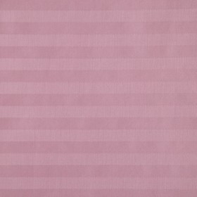 Простыня "Этель basic" цв. розовый, 150*220 см, 100% хлопок, страйп-сатин, 125 г/м2
Простыня "Этель basic" цв. розовый, 150*220 см, 100% хлопок, страйп-сатин, 125 г/м2
