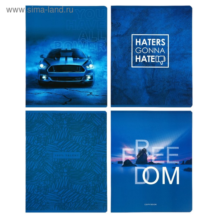 Тетрадь 48 листов в линейку 100% talent, матовая ламинация, МИКС
Тетрадь 48 листов в линейку 100% talent, матовая ламинация, МИКС