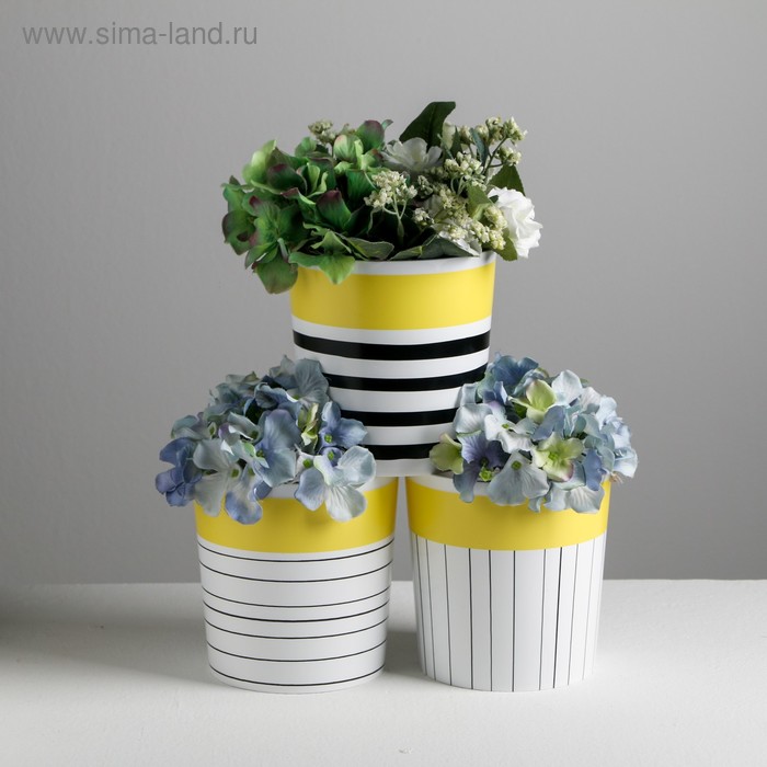 Набор кашпо 3 в 1 «Черно-белая геометрия», 1,6 л, 14 х 14 см
Набор кашпо 3 в 1 «Черно-белая геометрия», 1,6 л, 14 х 14 см