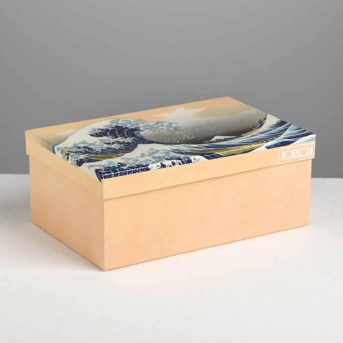Коробка прямоугольная «Хокусай», 24 х 15.5 х 9.5 см
Коробка прямоугольная «Хокусай», 24 х 15.5 х 9.5 см