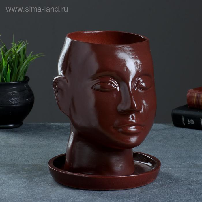 Кашпо - органайзер "Голова" коричневое, 3 л/ 24х19см
Кашпо - органайзер "Голова" коричневое, 3 л/ 24х19см