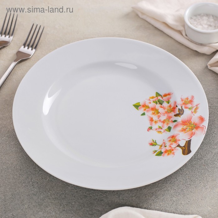 Тарелка мелкая «Яблоневый цвет», d=24 см
Тарелка мелкая «Яблоневый цвет», d=24 см
