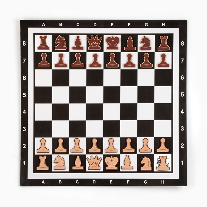 фото Демонстрационные шахматы 60 х 60 см "время игры" на магнитной доске, 32 шт, чёрные