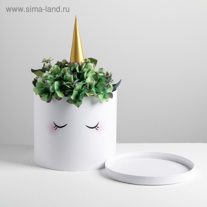Коробка шляпная для цветов с доп. элементом «Белый единорожка», 22 × 22 см
Коробка шляпная для цветов с доп. элементом «Белый единорожка», 22 × 22 см