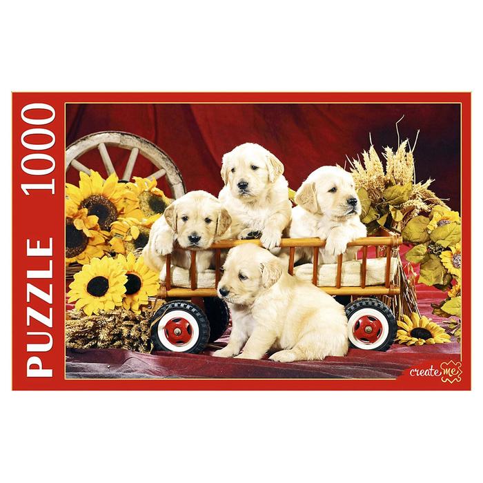 Пазл 1000 элементов «Щенки и подсолнухи»
Пазл 1000 элементов «Щенки и подсолнухи»