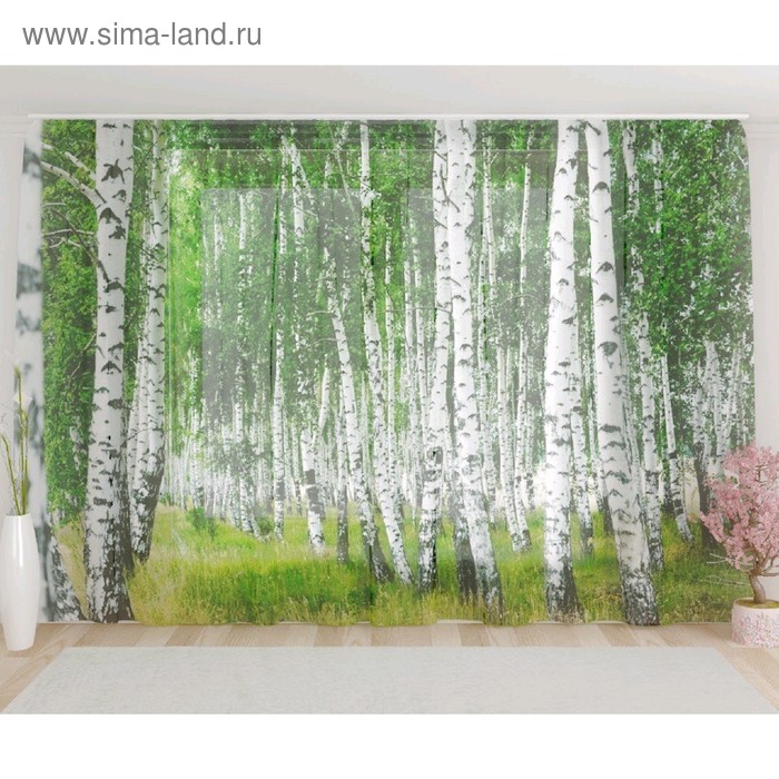 Фототюль «Березовая роща», размер 290 х 260 см, вуаль
Фототюль «Березовая роща», размер 290 х 260 см, вуаль